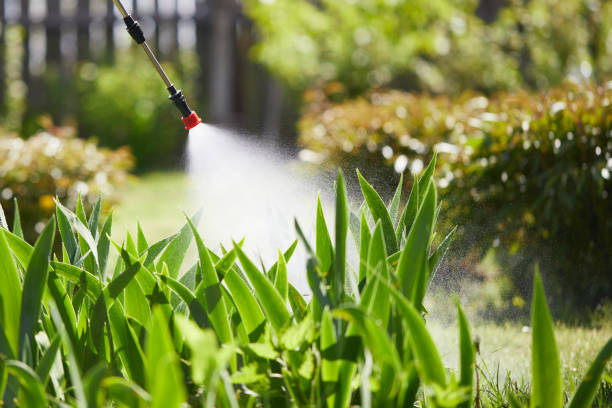 24/7 Emergency Wasp Removal experts in Mendota, IL