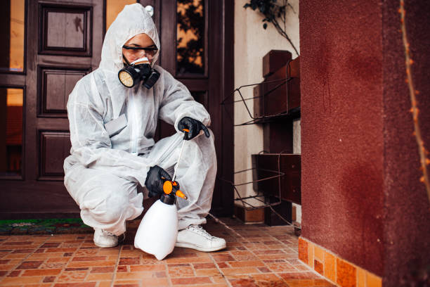 Reliable Wasp Removal contractor in Mendota, IL by Show Me Pest Control